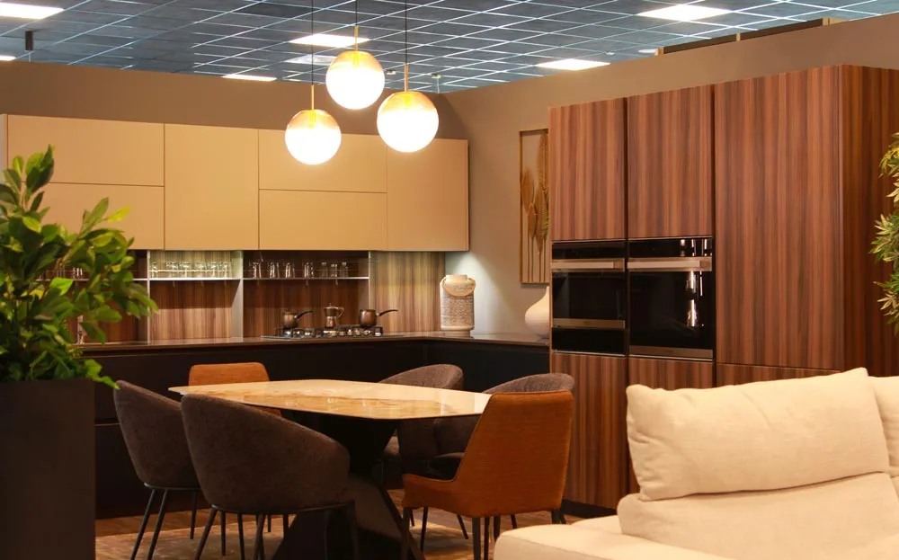 stages and history of the furniture company Casa Evolution